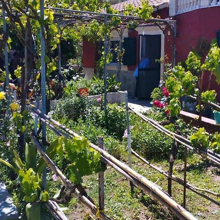 Malotu Resort Σιναράδες Εξωτερικό φωτογραφία