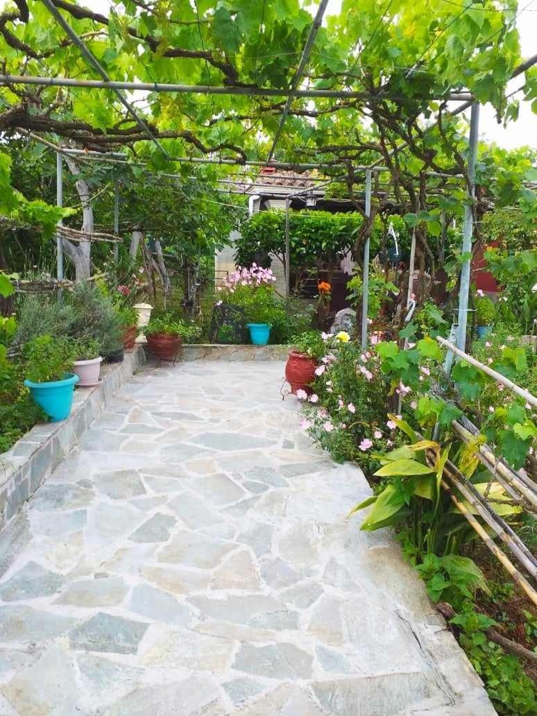Malotu Resort Σιναράδες Εξωτερικό φωτογραφία