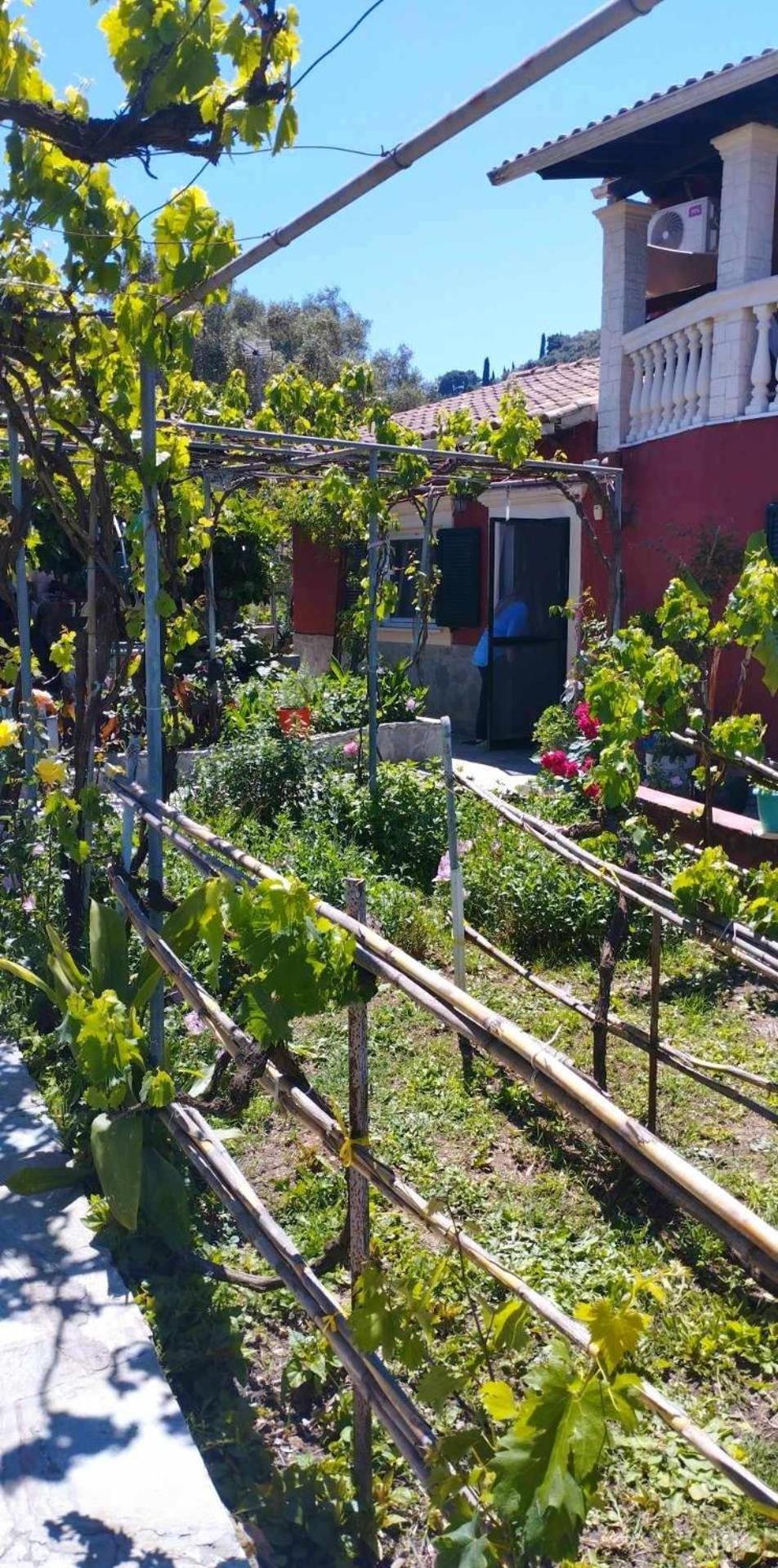 Malotu Resort Σιναράδες Εξωτερικό φωτογραφία
