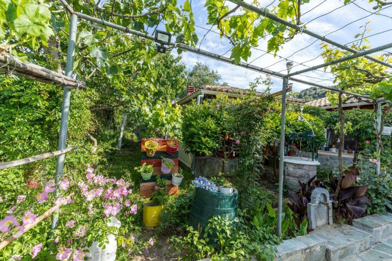 Malotu Resort Σιναράδες Εξωτερικό φωτογραφία