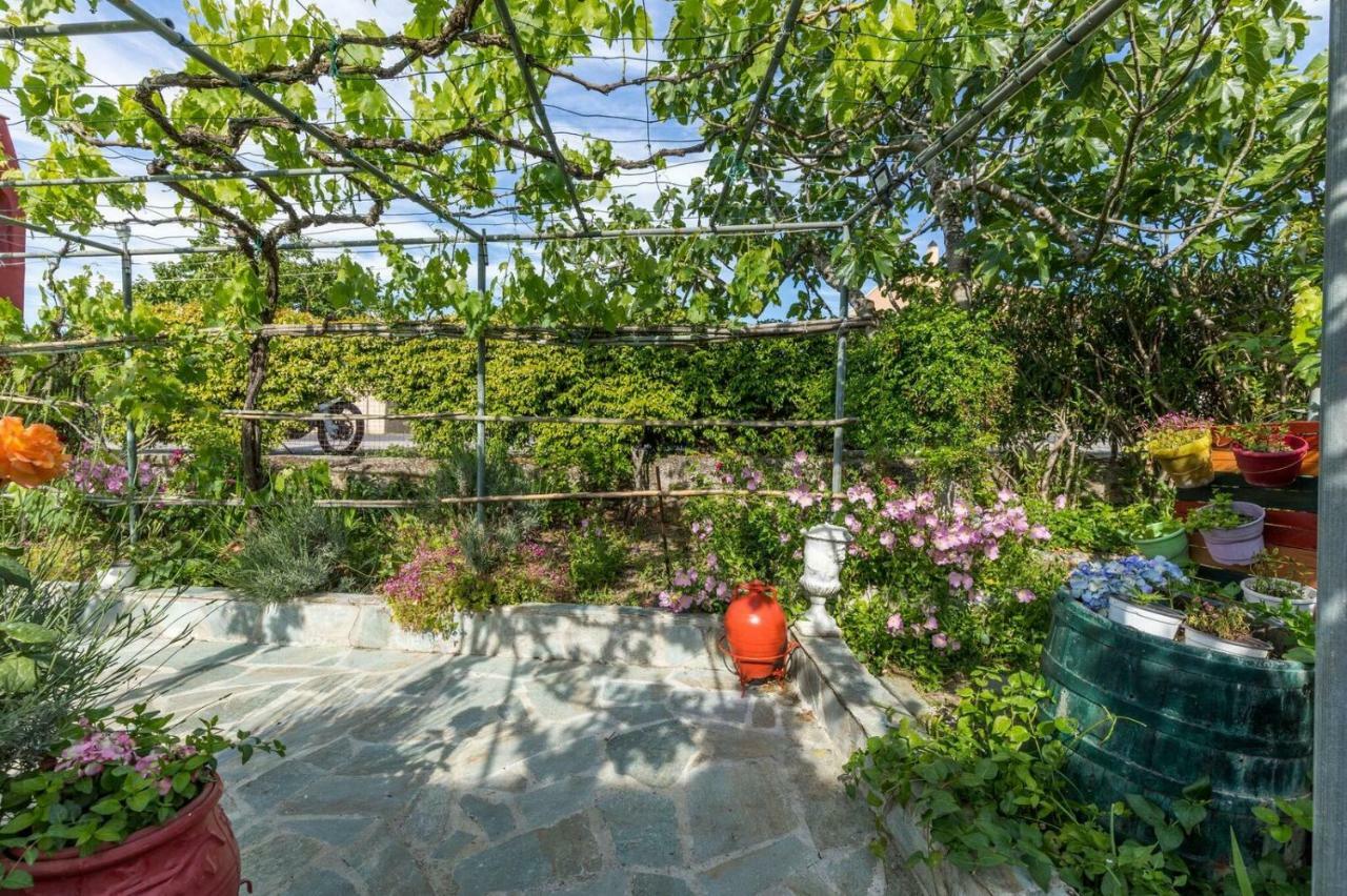 Malotu Resort Σιναράδες Εξωτερικό φωτογραφία